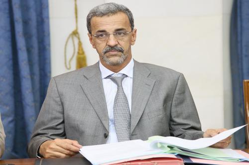 الدي ولد الزين: وزير التنمية الريفية