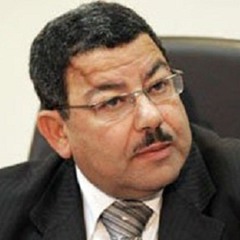 سيف الدين عبدالفتاح