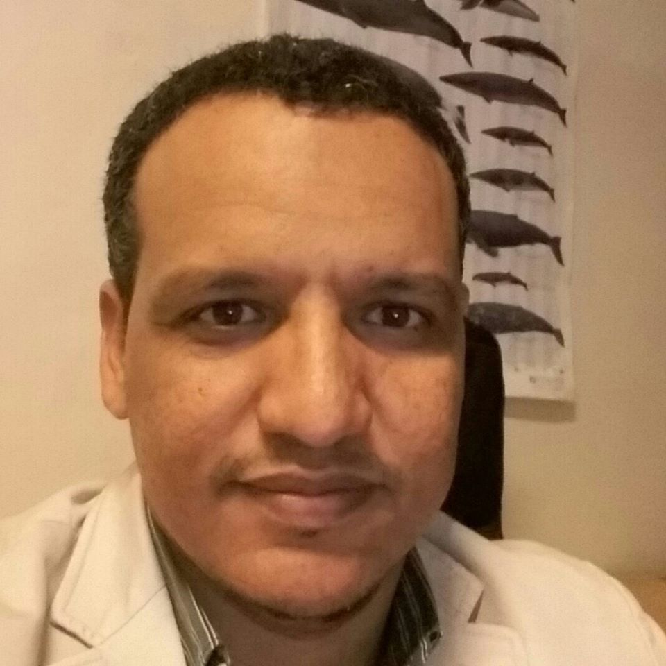 الخبير حمود ولد الفاظل