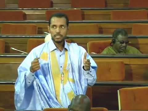 نائب مدينة الطينطان محمد محمود الصديق
