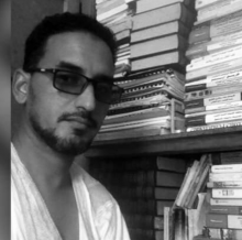 الشيخ سيدي احمد ولد حيده
