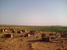 صورة تخدم النص