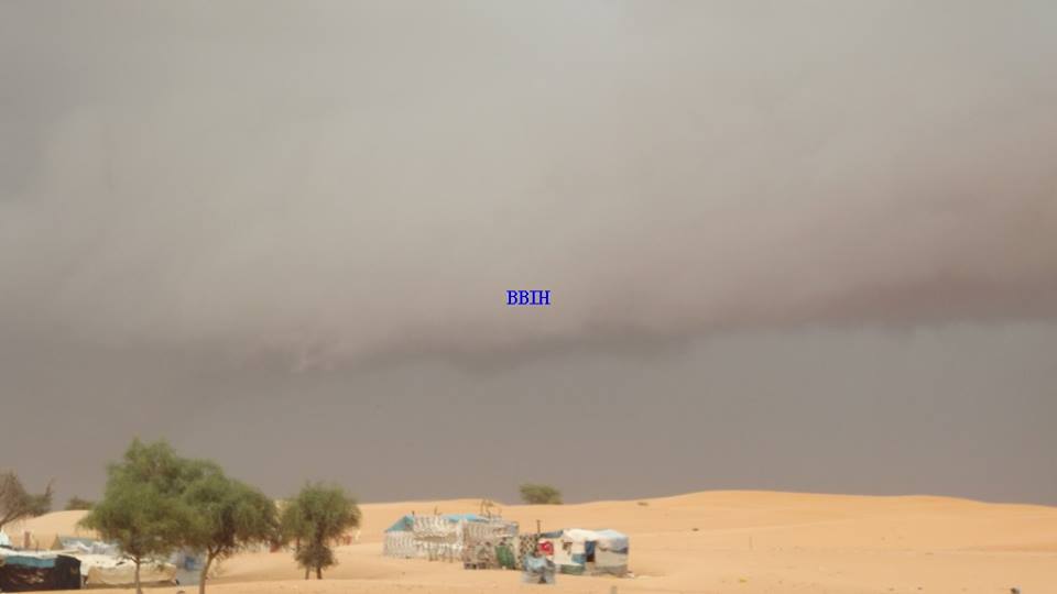العاصفة خلفت 20جريحا وخسائر مادية 