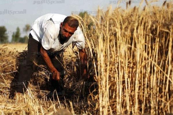 «فاو» تدعو لزيادة الاهتمام بالزارعة الأسرية