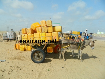 العربات التي تجرها الحمير هي الوسيلة الأكثر رواجل لنقل المياه في حي الترحيل