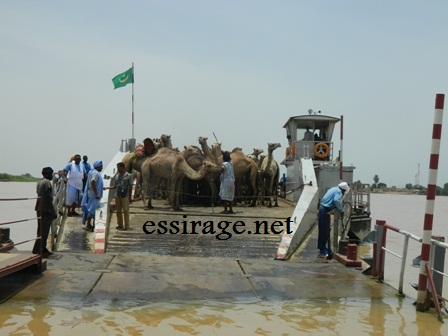 تتسع العبارة للأنعام كما الإنسان