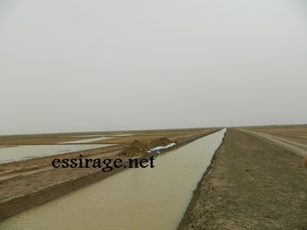 قناة الري الرئيسية 