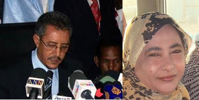 محمد ولد ارزيزيم و العزة بنت همام