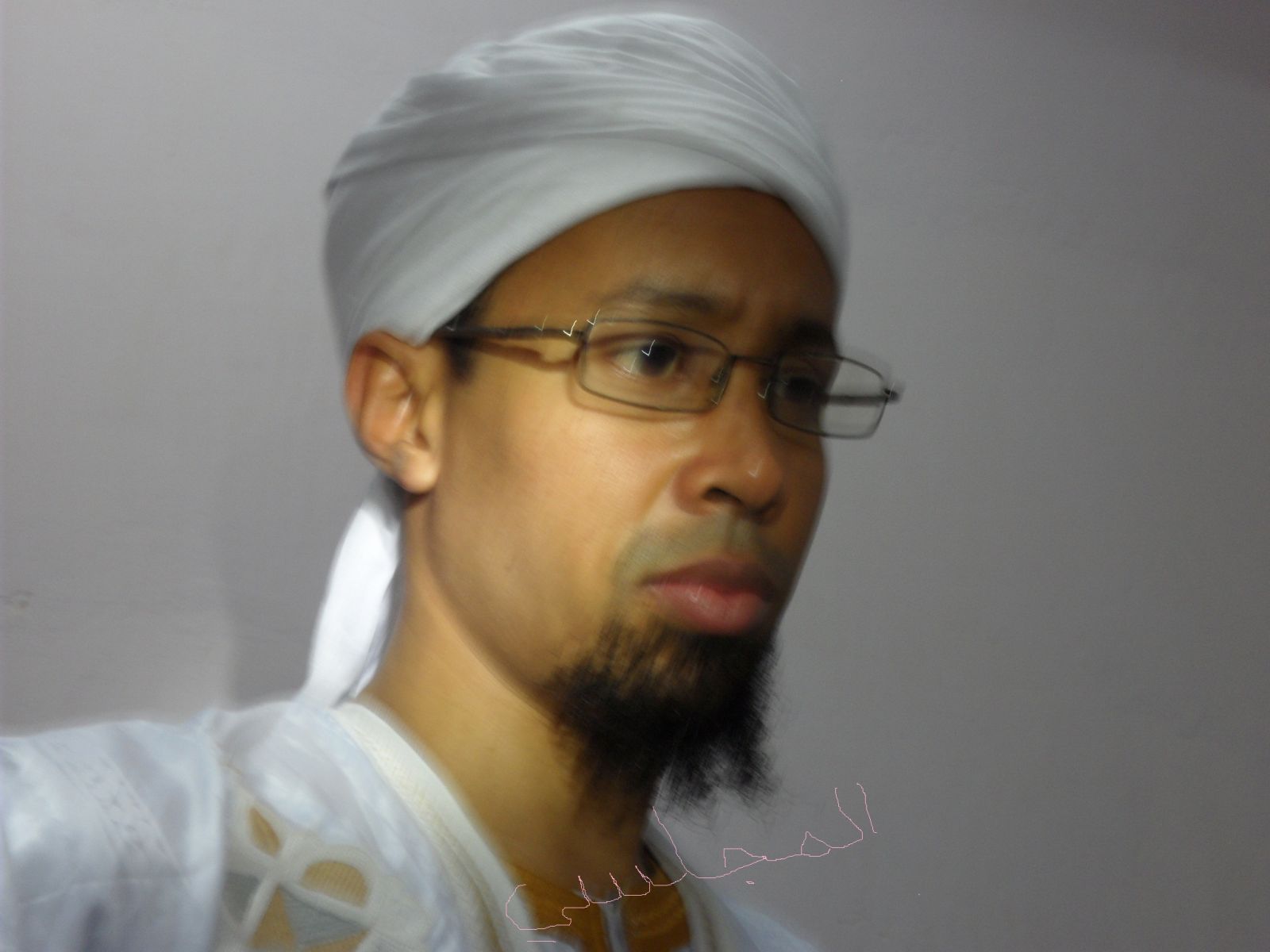 محمَّد سالم ولد محمَّد الأمين المجلسي 