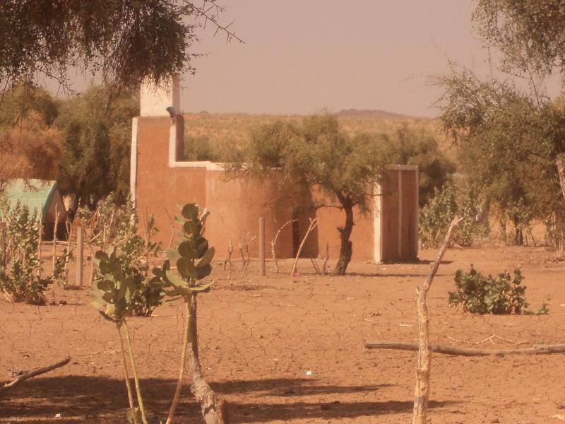 صورة مسجد وسط مدينة الدفعة