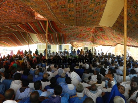 جمور اليوم السياسي التكورين الذي ينظمه