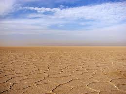 اليوم العالمي لمكافحة التصحر