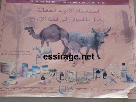 يحتوي المعهد على عيادة بيطرية (خاص للسراج)