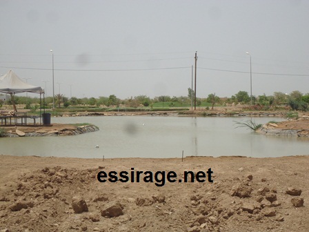 هذه إحدي البرك في المعهد العالي وهي تحتوي على اسماك صغيرة 