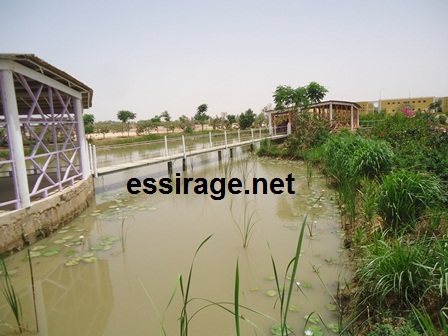 فصول دراسية في وسط البركة لأول مرة في موريتانيا (خاص للسراج)
