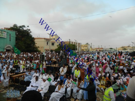 جانب من الحضور 