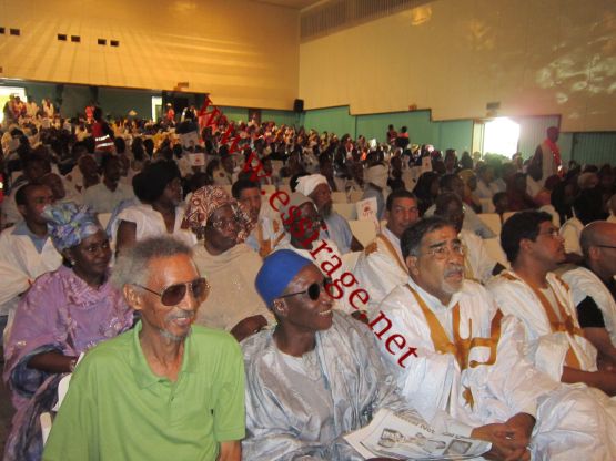 منظر من الجمهور 