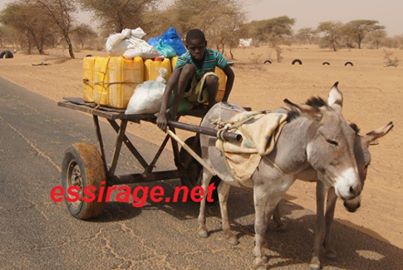 صورة تخدم النص 