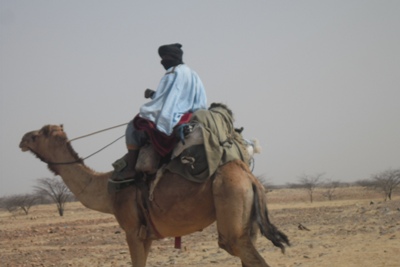 رباعيات الدفع أو ذوات الأربع من الانعام وحدها من تستطيع الوصول 