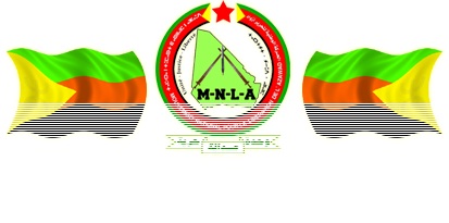 ما ذا يعني إعلان الاستقلال في ظل وجود القاعدة ورفض فرنسا والاتحاد الإفريقي