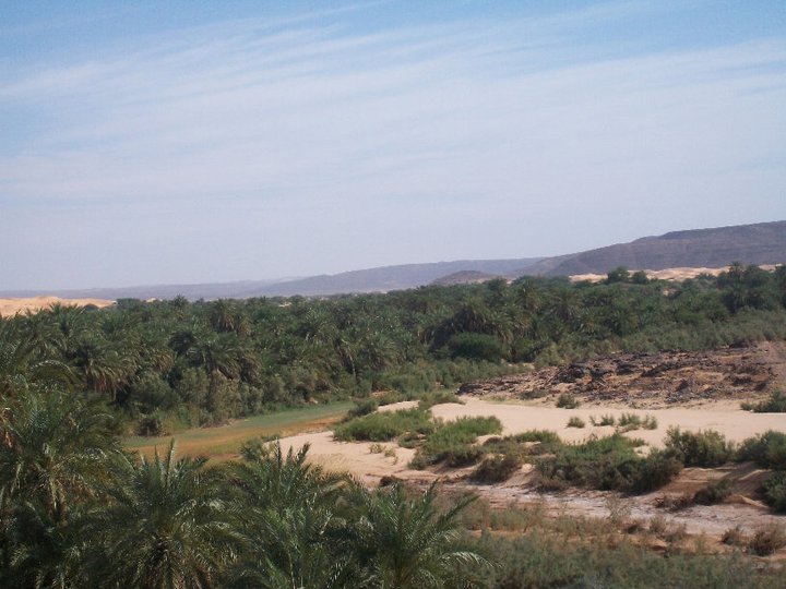 بلدية المداح