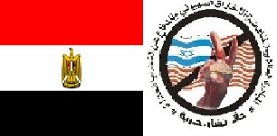 المباردة الطلابية نظمت تظاهرات سابقة مؤيدة للرئيس مرسي 