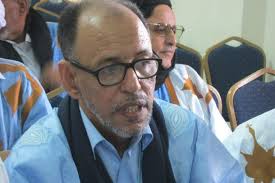 محمد ولد معاوية