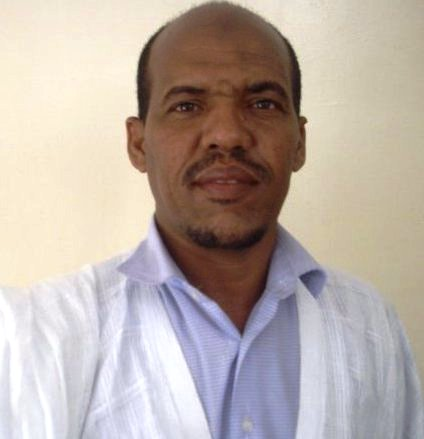 محمد الأمين ولد الفاظل: كاتب ومدون.
