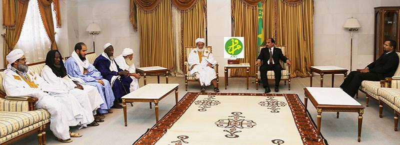 محمد سالم دودو