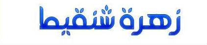 زهرة شنقيط
