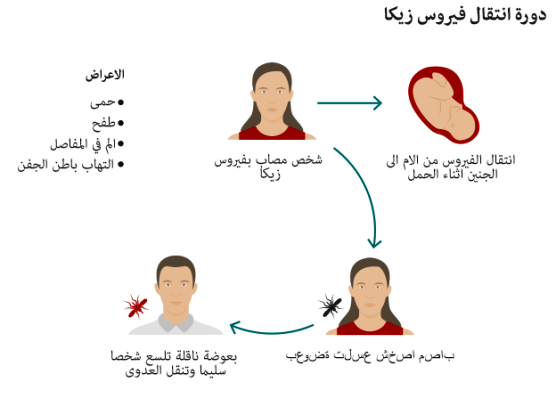 بيبيسي نقلا عن منظمة الصحة العالمية