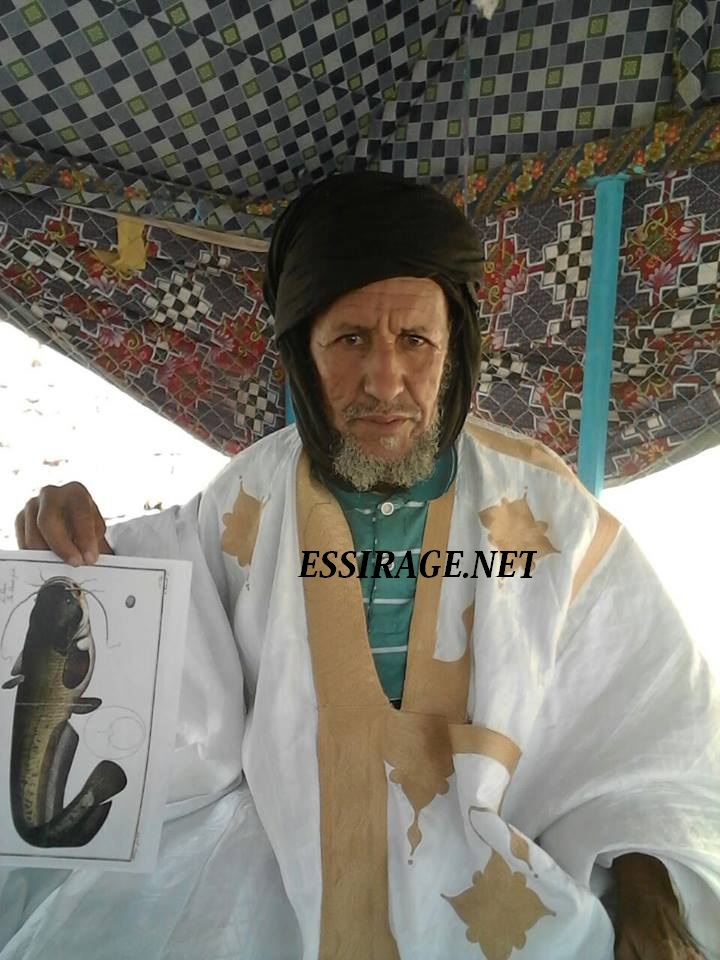 المانة ولد زيني 