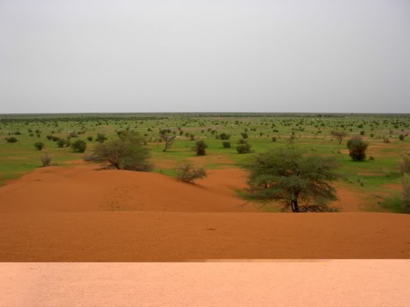صورة من فصل الخريف فى موريتانيا 