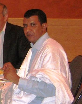 الكاتب محمد محمود أبو المعالي 