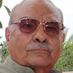 محمد عمارة