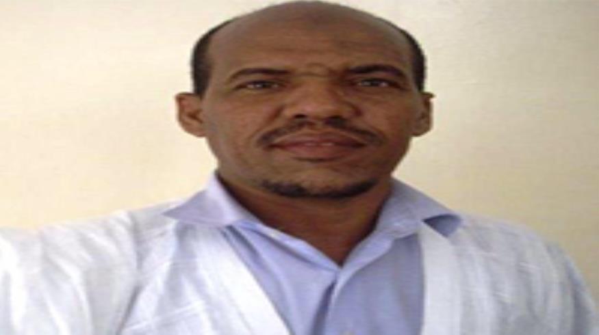محمد الأمين ولد الفاظل: كاتب ومدون