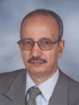 محمد محمود ولد ودادي: الدبلوماسي السابق.