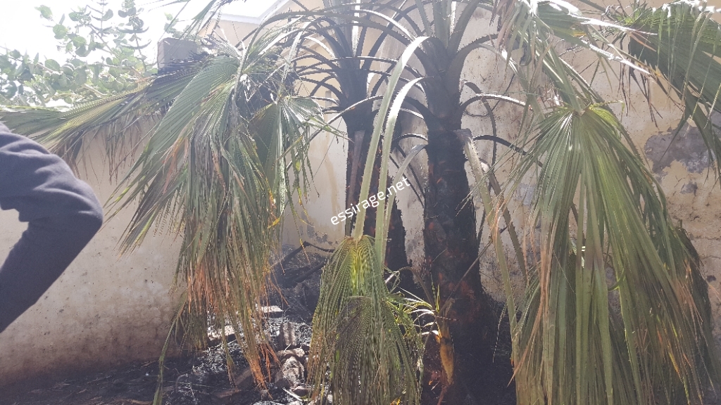 مكان الحريق في جانب المستشفي