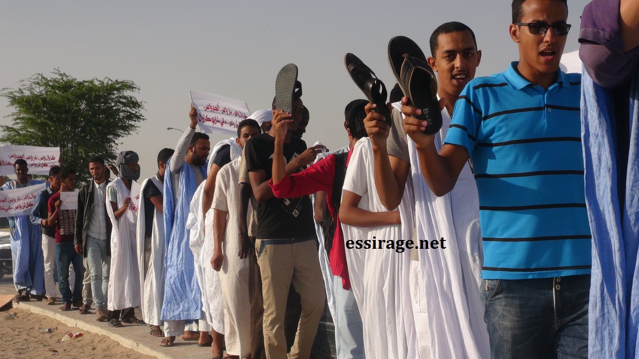 صورة من النشاط 