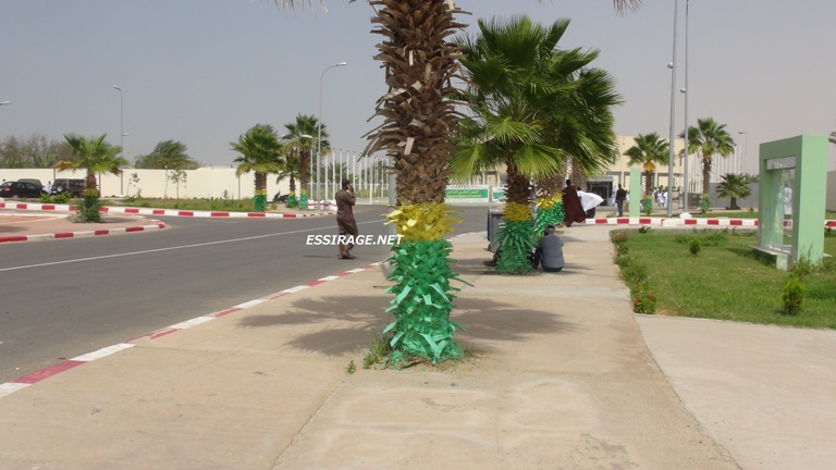 صورة من المدخل اليوم 