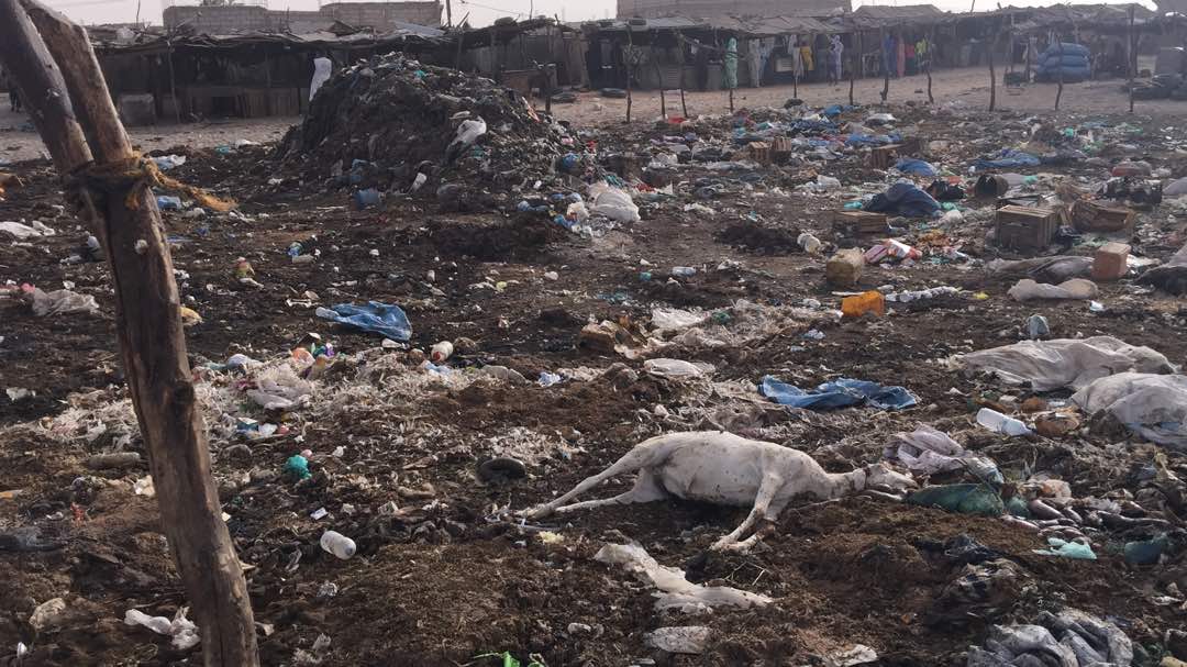 صورة من المكب