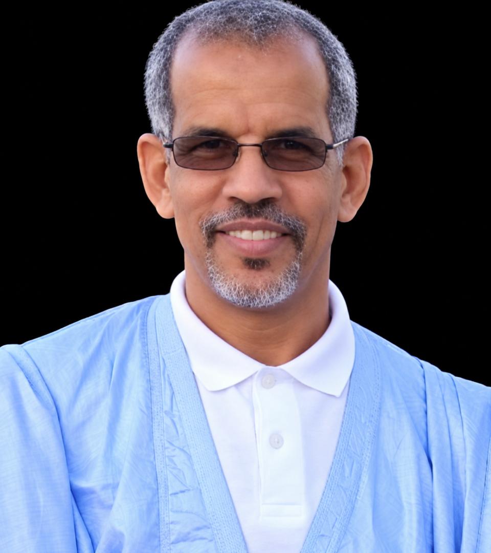 محمد الماحي النحوي