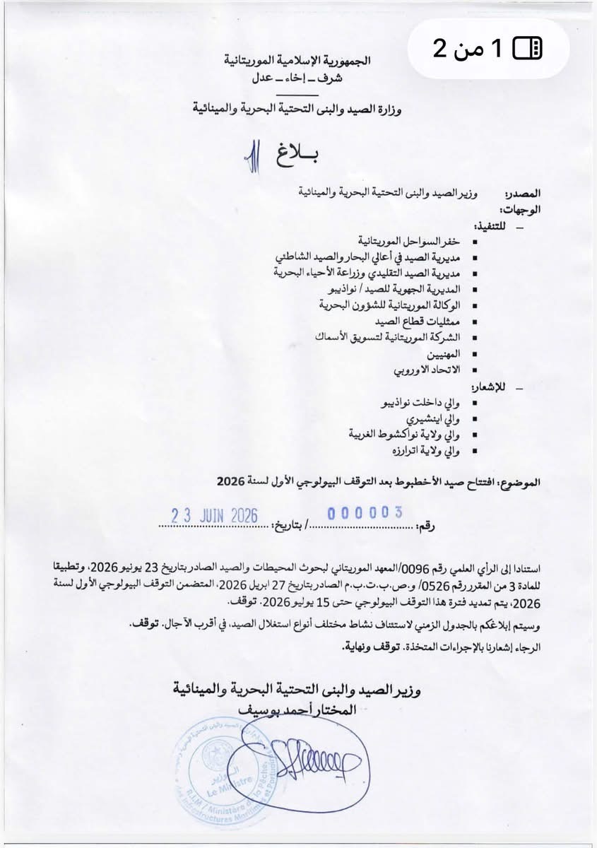تمديد فترة التوقف عن صيد الأخطبوط حتى منتصف يوليو