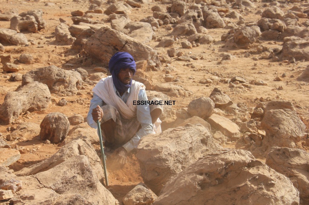 أحد الباحثين عن الذهب