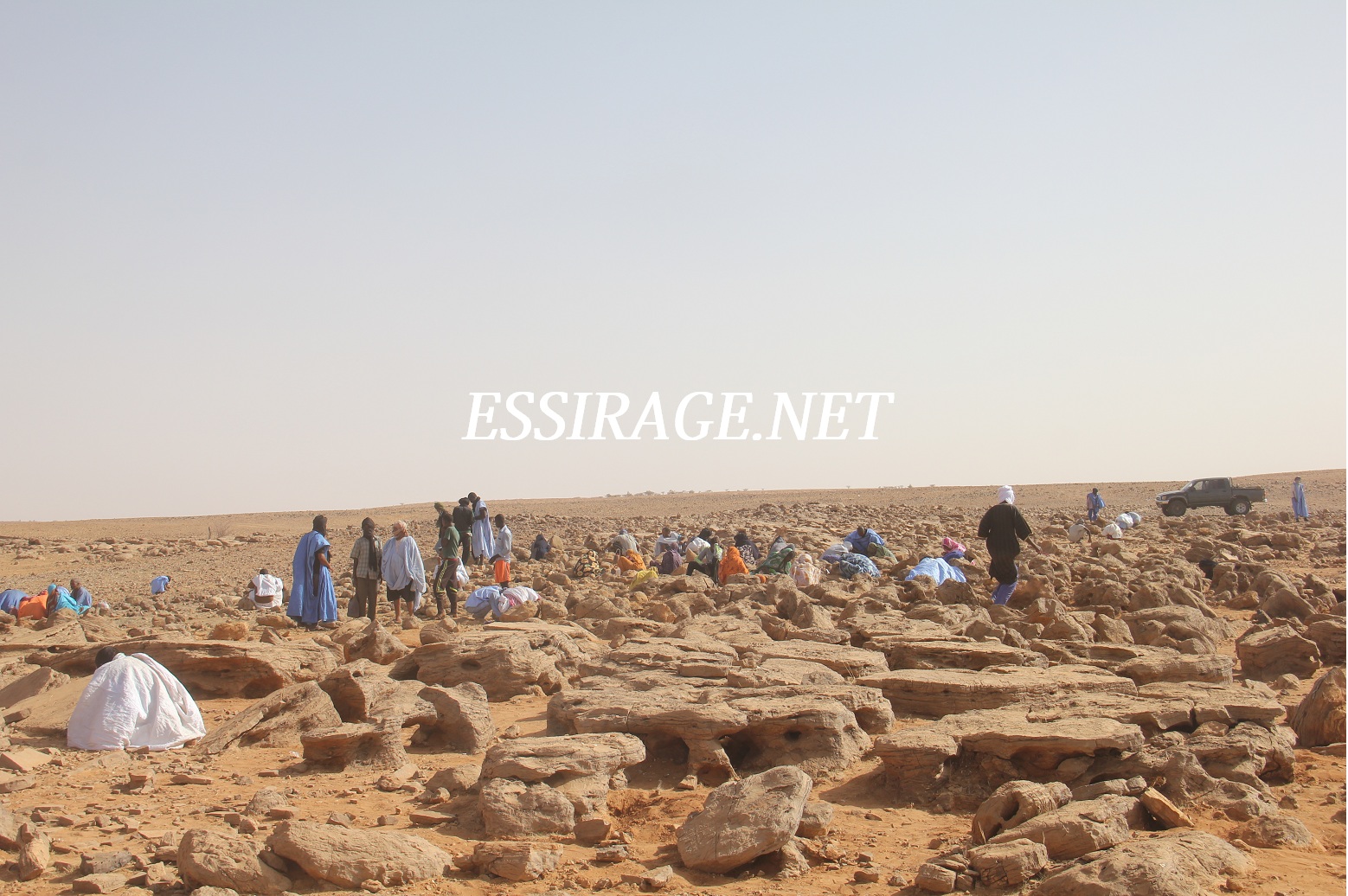 عملية التنقيب في بلدية الصفا