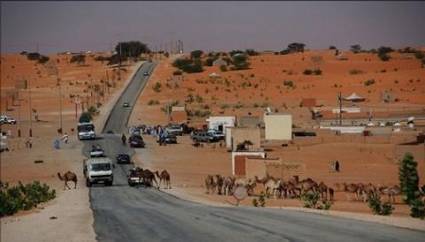 وادي الناقة