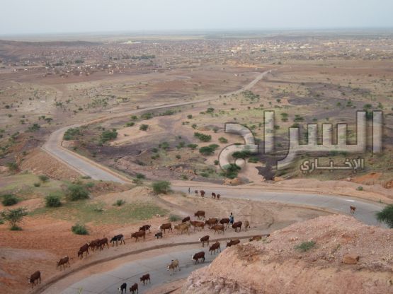 صورة