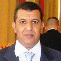 الكاتب محمد محمود أبو المعالي
