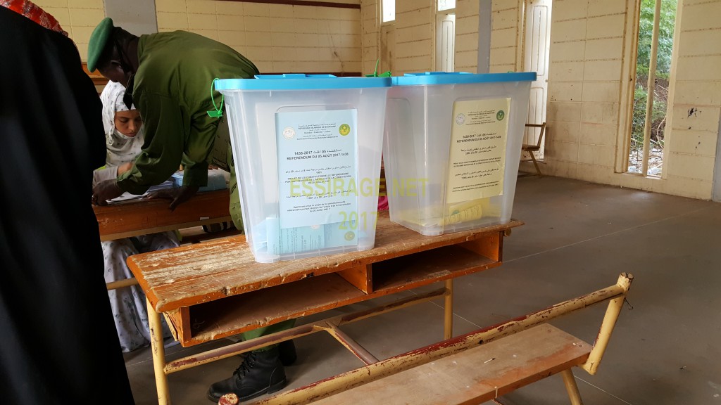 " الصناديق المخصصة للتصويت "