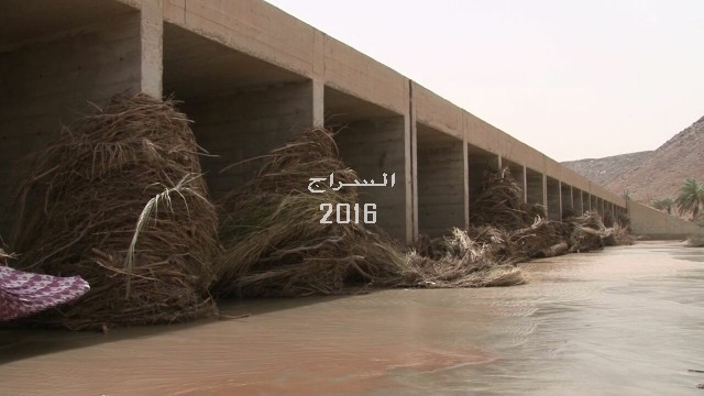 " أغلقت الأشجار مجري المياه فتهدم السد "